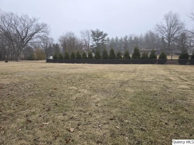 219 South 1st Street Carthage, IL 62321 - Photo 22 of 23 a view of outdoor space with yard