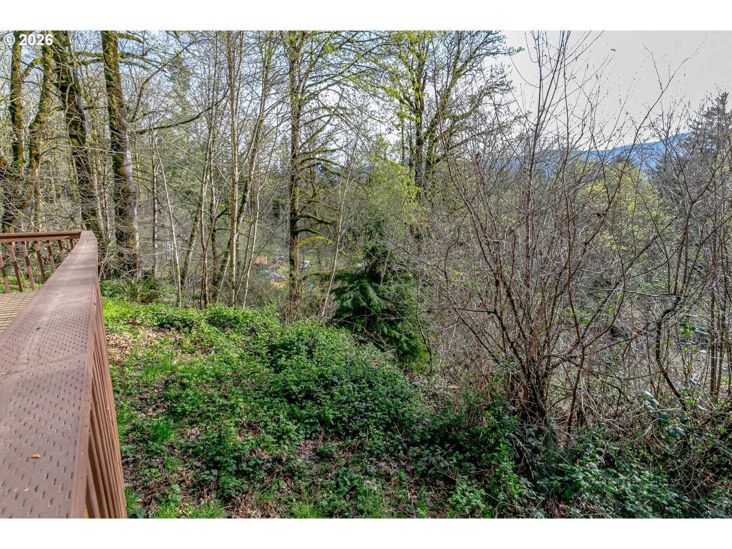 64636 Mc Intyre Road Rhododendron, OR 97049 - Photo 36 of 48 a view of a yard