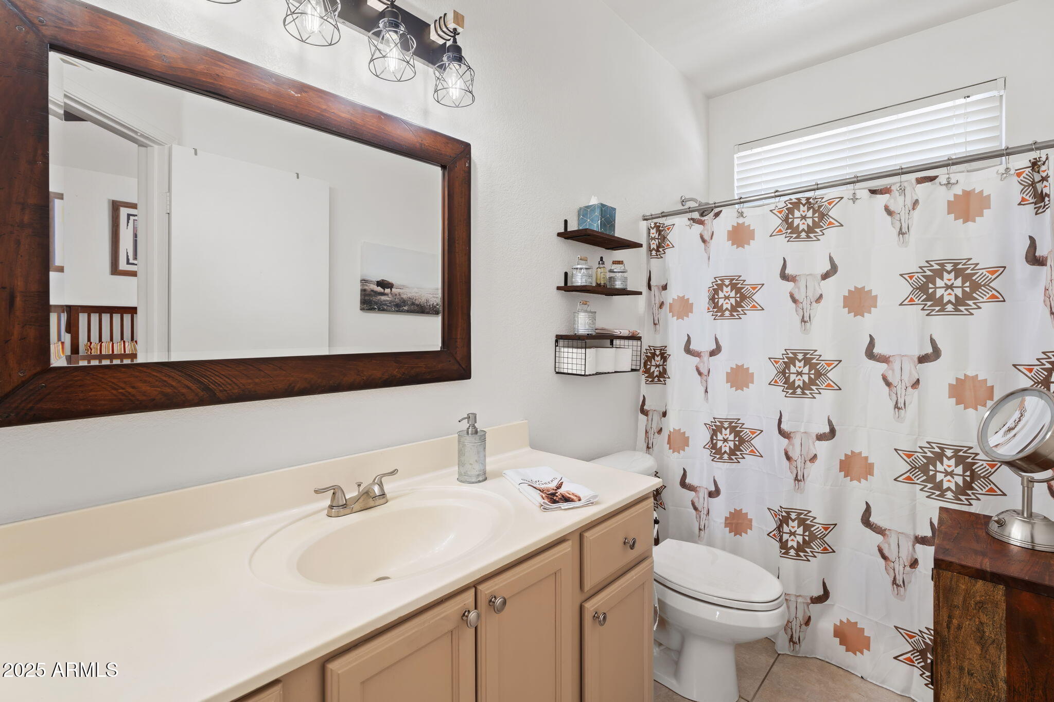 4169 East Hallihan Drive Cave Creek, AZ 85331 - Photo 13 of 13 a bathroom with a sink toilet and mirror