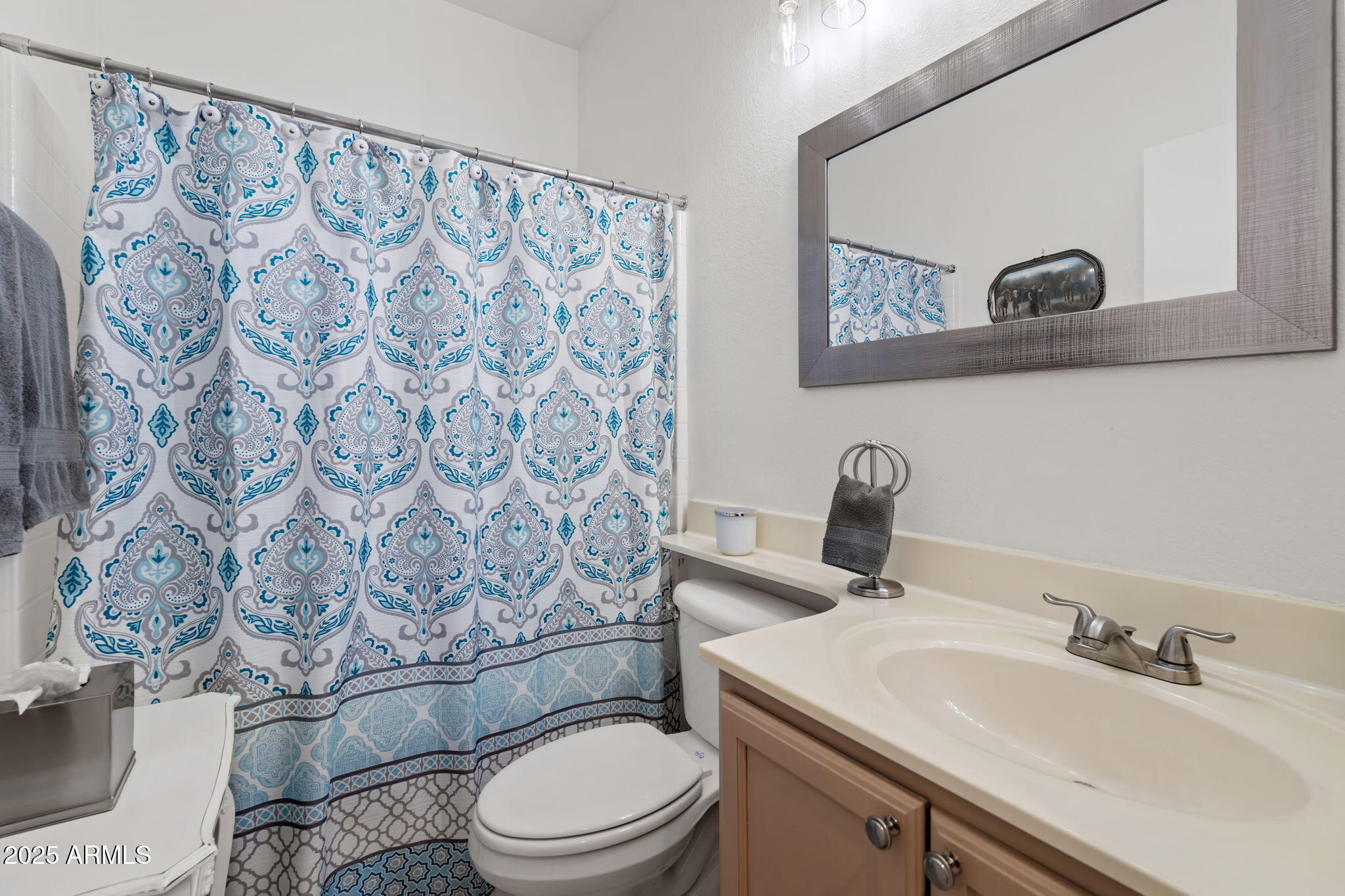 4169 East Hallihan Drive Cave Creek, AZ 85331 - Photo 10 of 13 a bathroom with a toilet sink and mirror