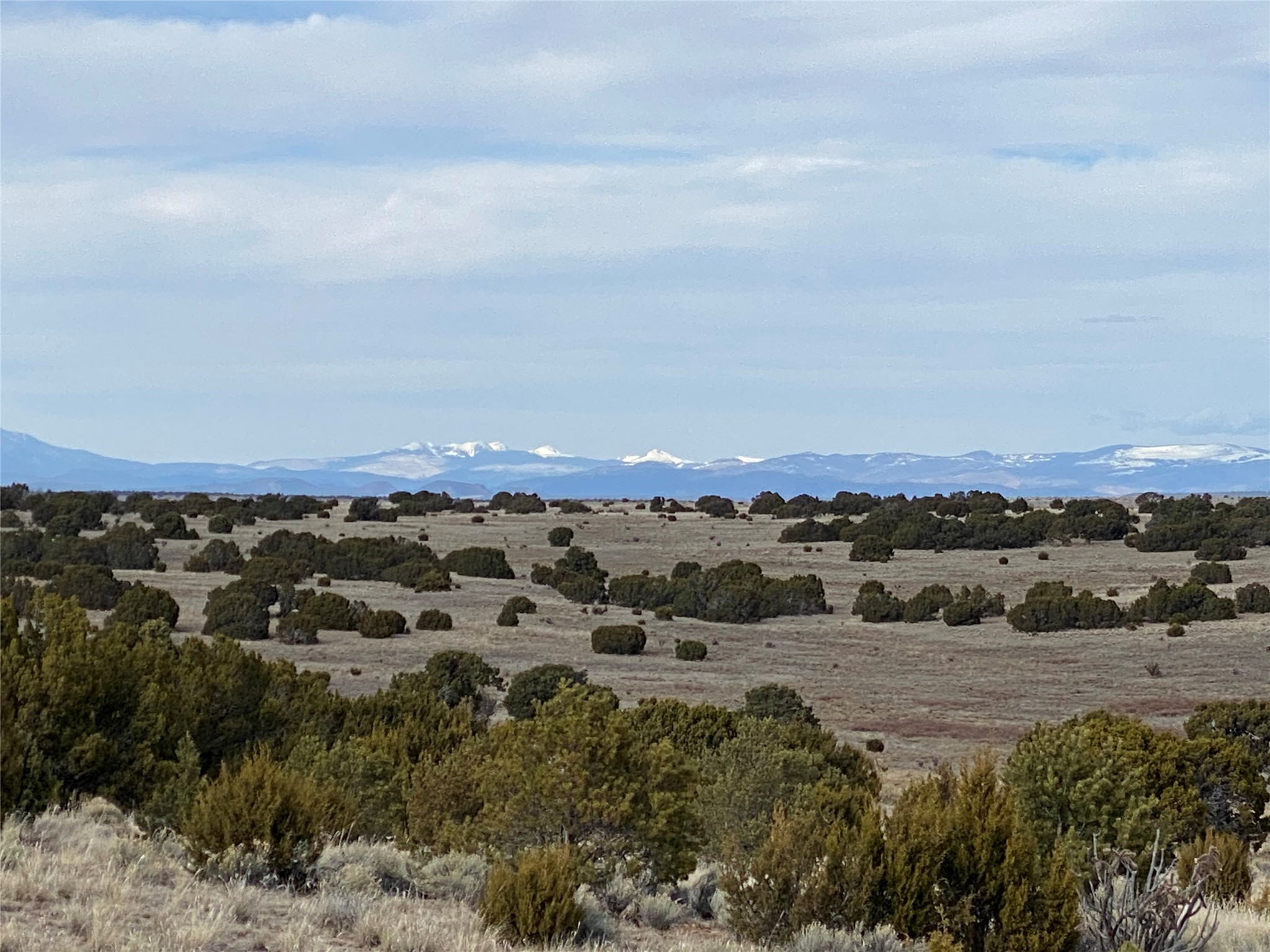 26262 US Highway 285 Ribera, NM 87560 - Photo 42 of 46