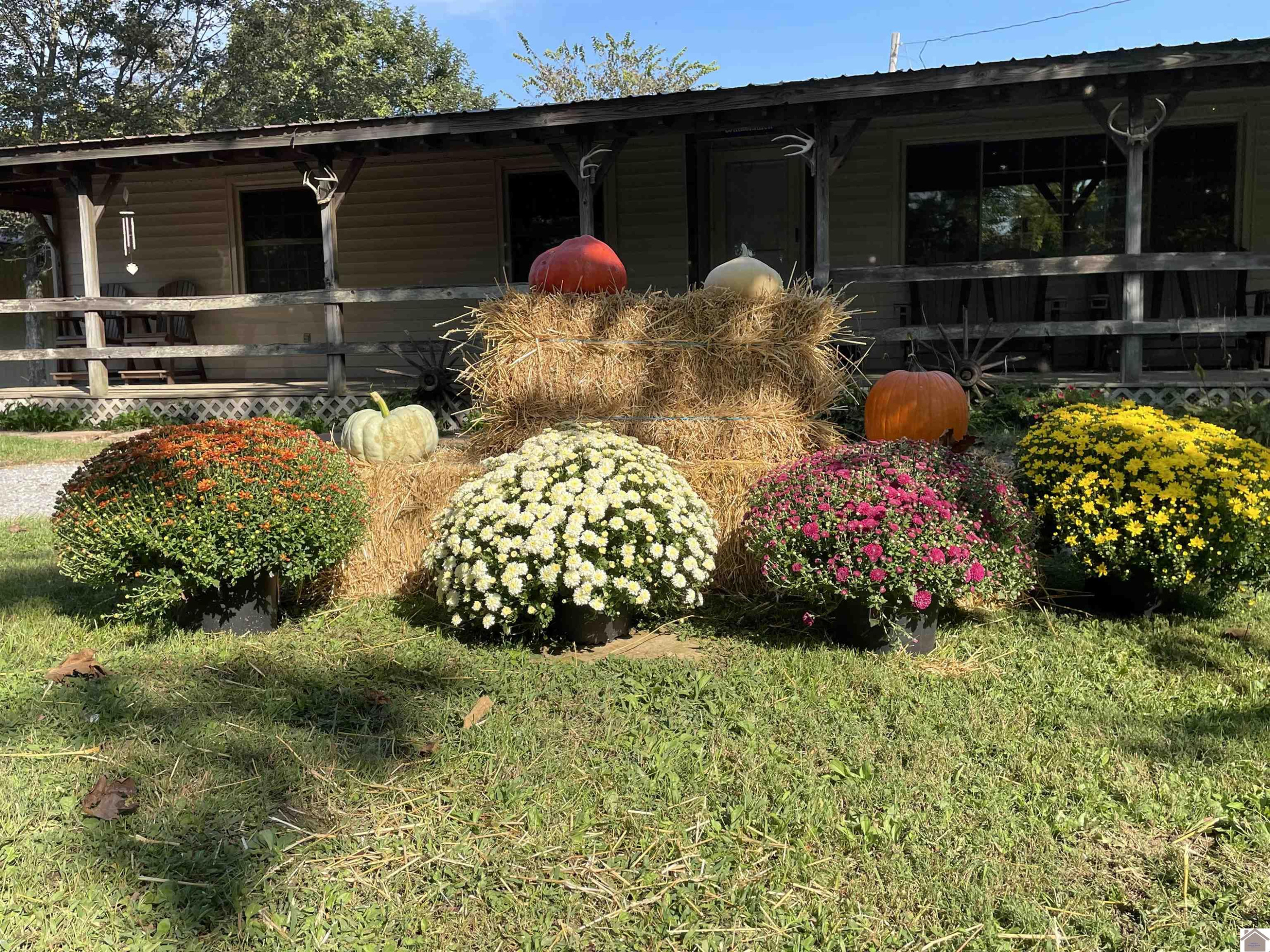 782 Bid Southern Road Tiline, KY 42083 - Photo 45 of 47 Front of house