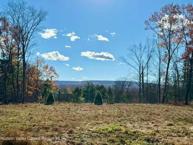 a view of a yard with a tree