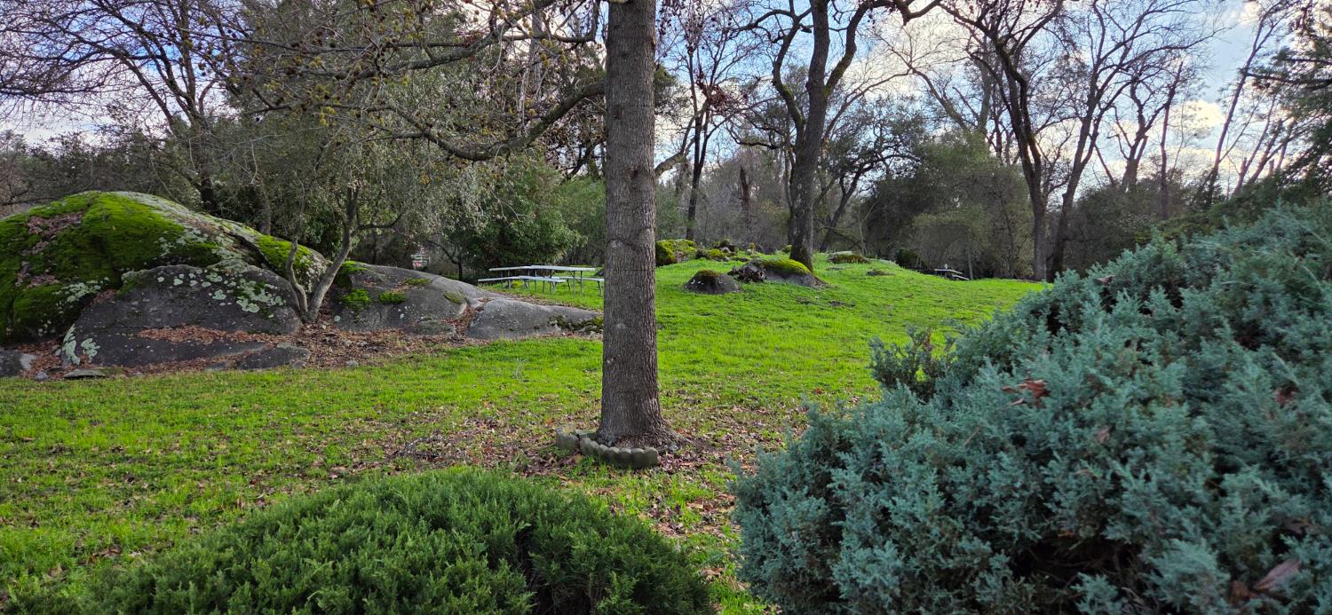 4800 Auburn Folsom Road, Unit 9 Loomis, CA 95650 - Photo 10 of 11 a view of a backyard