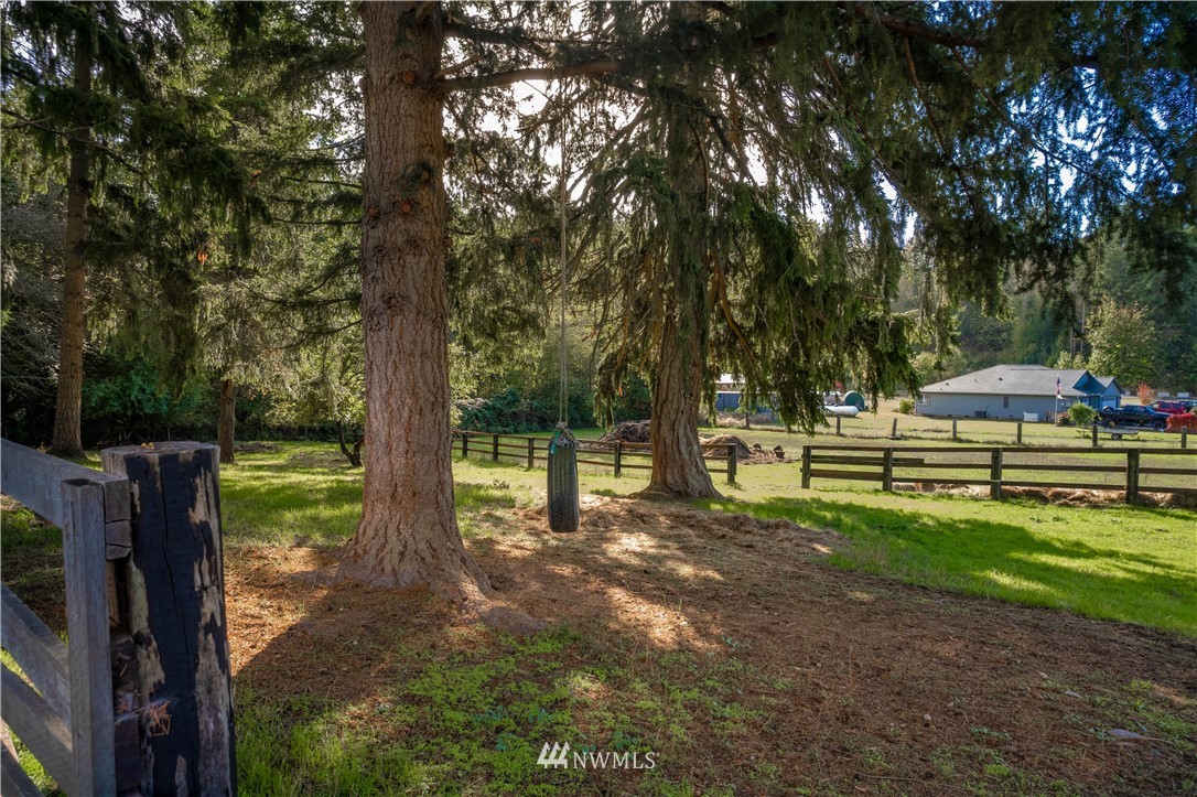 18943 Cook Road Southeast Yelm, WA 98597 - Photo 30 of 39 Gallery Image 30