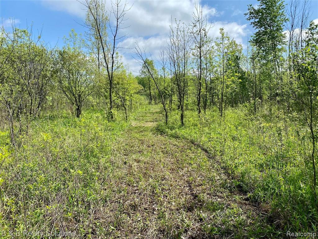 0 O Brien Road Mayville, MI 48744 - Photo 9 of 22