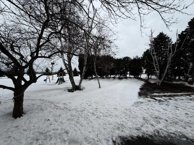 $299,000 | 204 South Schendel Street, Blomkest, MN 56216