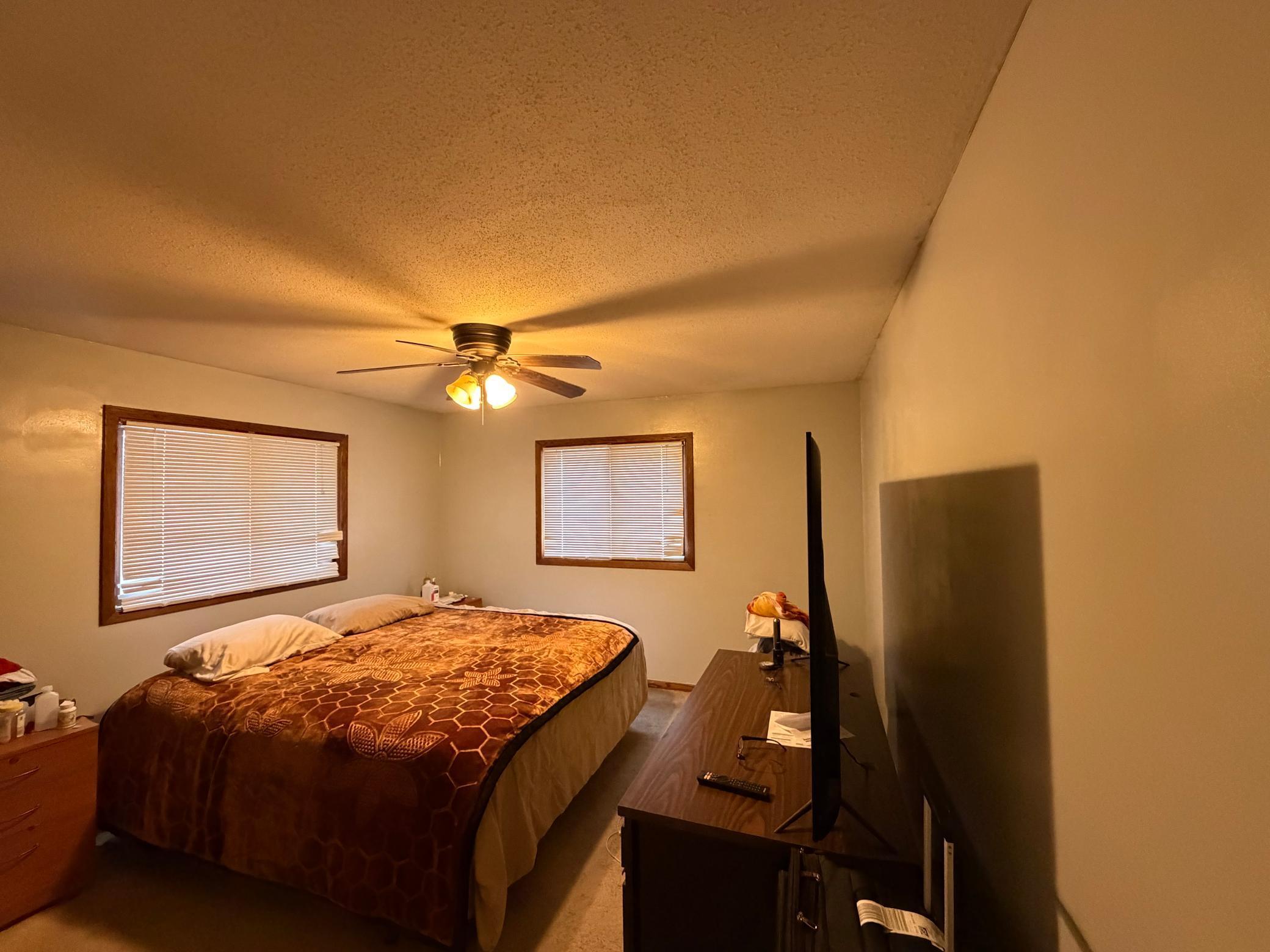 204 South Schendel Street Blomkest, MN 56216 - Photo 7 of 8