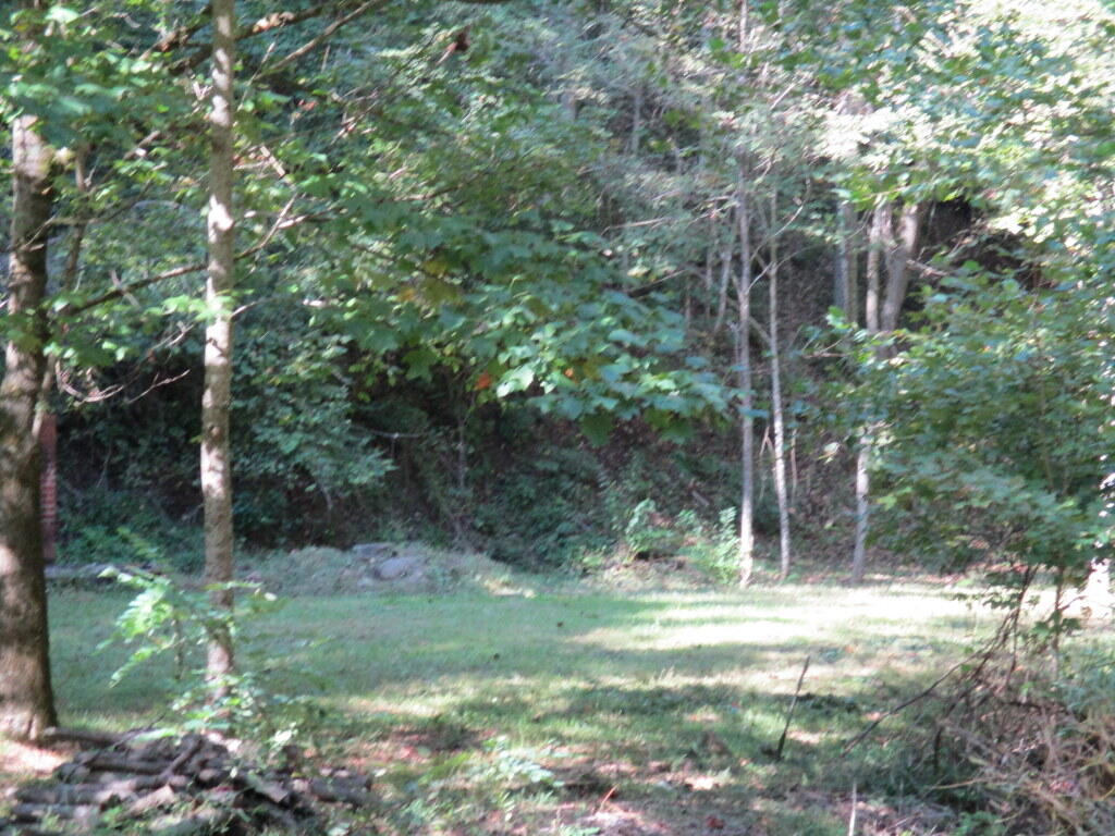 0 Timbertree Br Road Kingsport, TN 37660 - Photo 2 of 3 IMG_0118-001