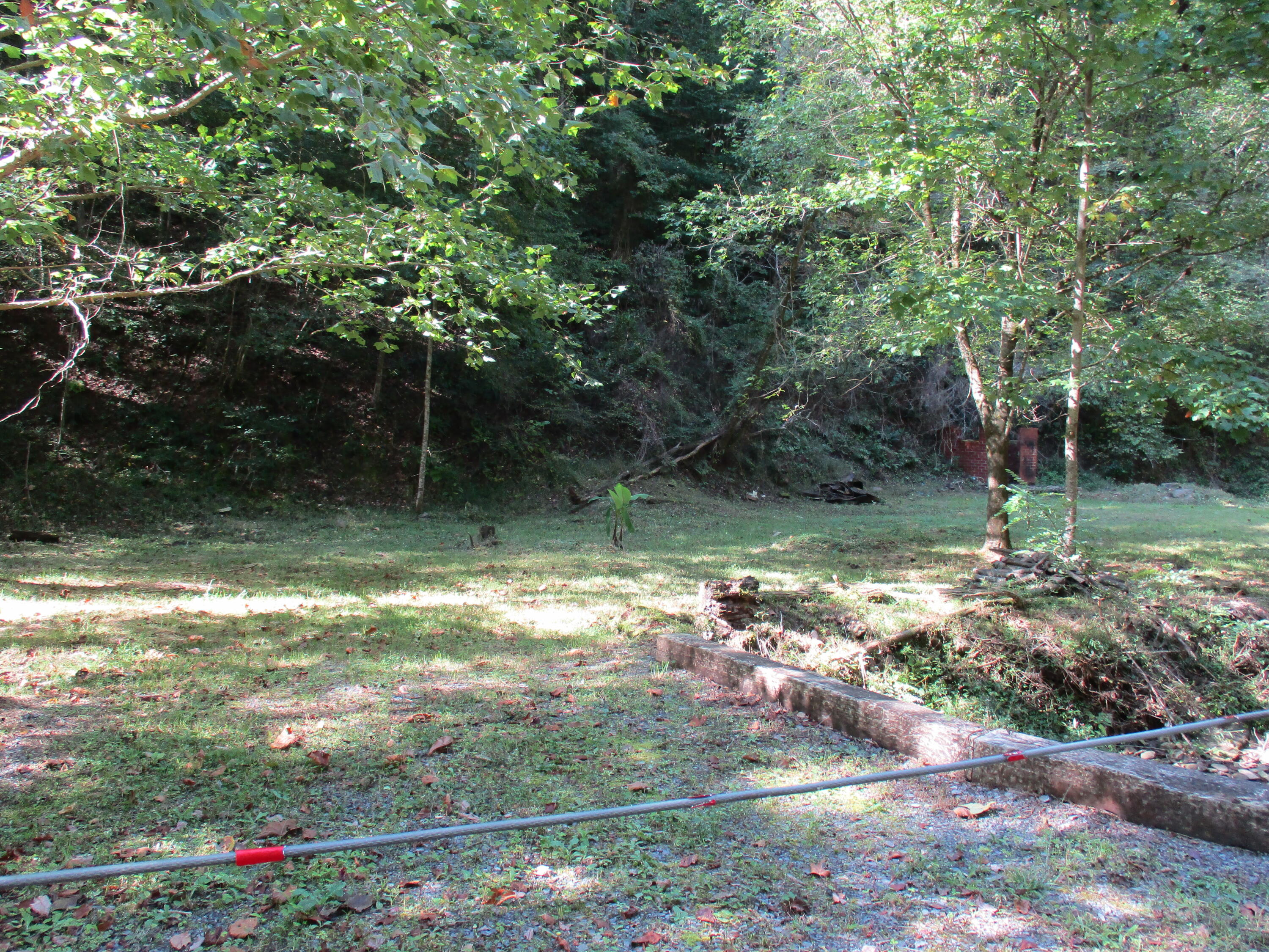 0 Timbertree Br Road Kingsport, TN 37660 - Photo 3 of 3 IMG_0121
