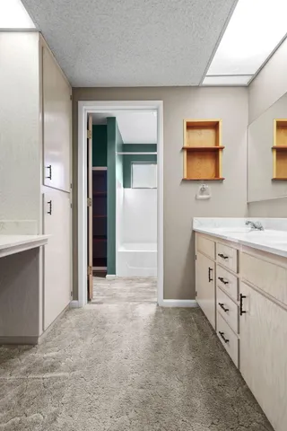 a view of a yard with a tree