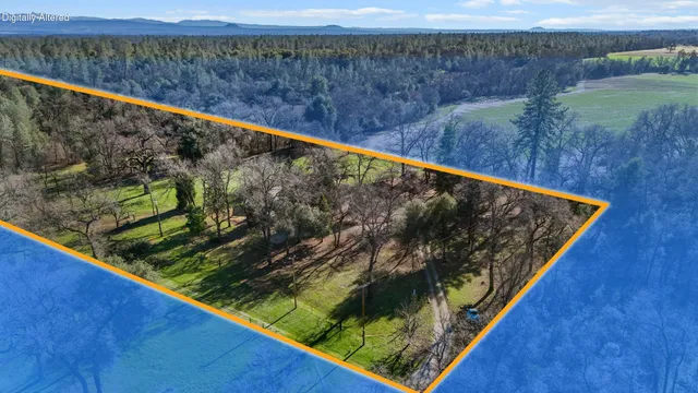 a big yard with lots of green space and trees