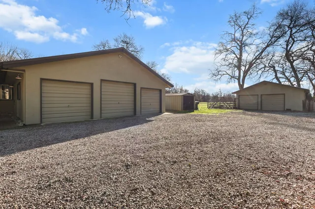 a view of a forest with a lake