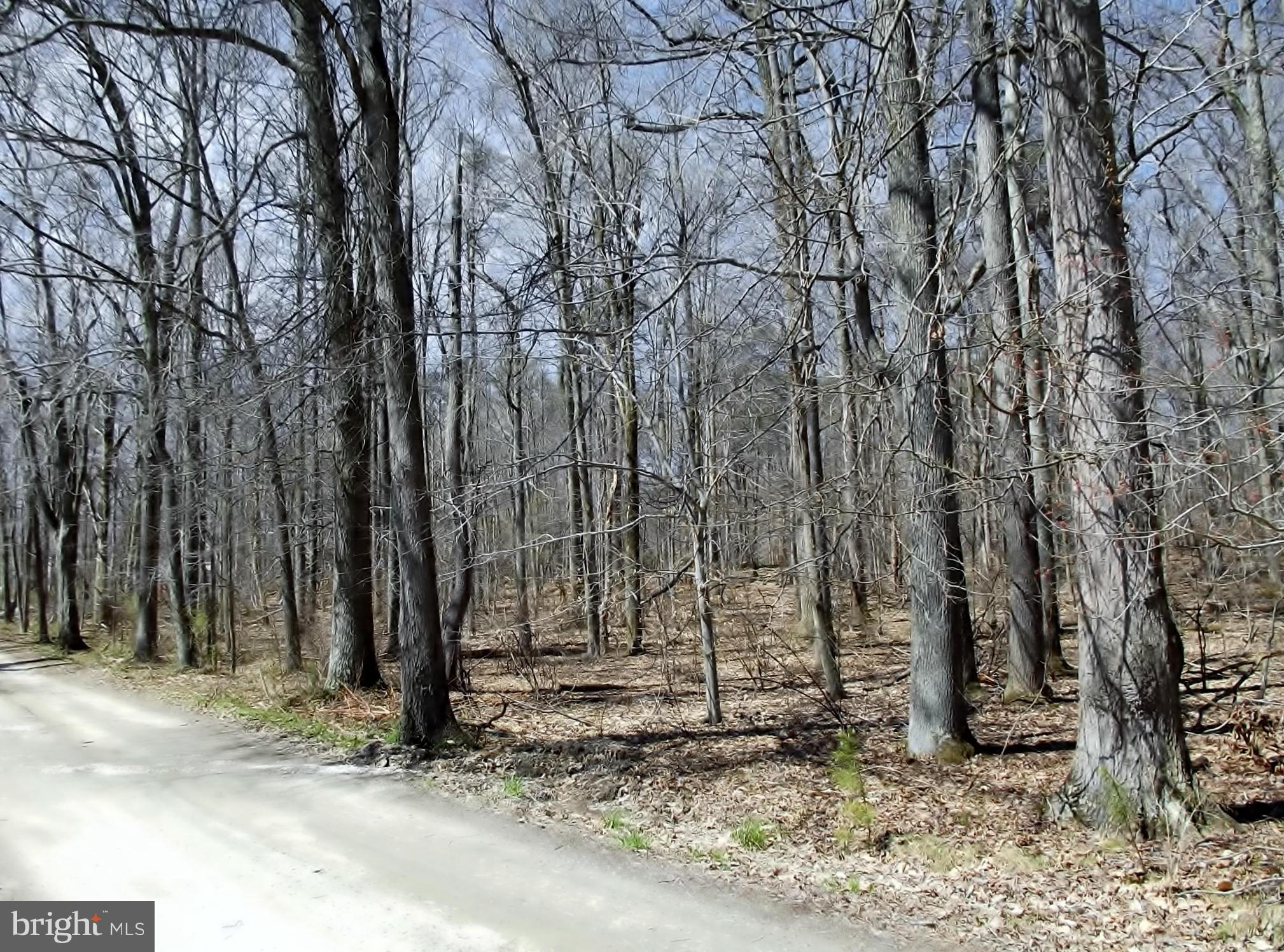 River Road Perryville, MD 21903 - Photo 7 of 7 View