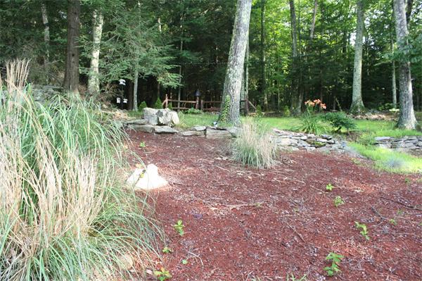 426 Walnut Hill Road Orange, MA 01364 - Photo 3 of 12 a view of a park with large trees and plants