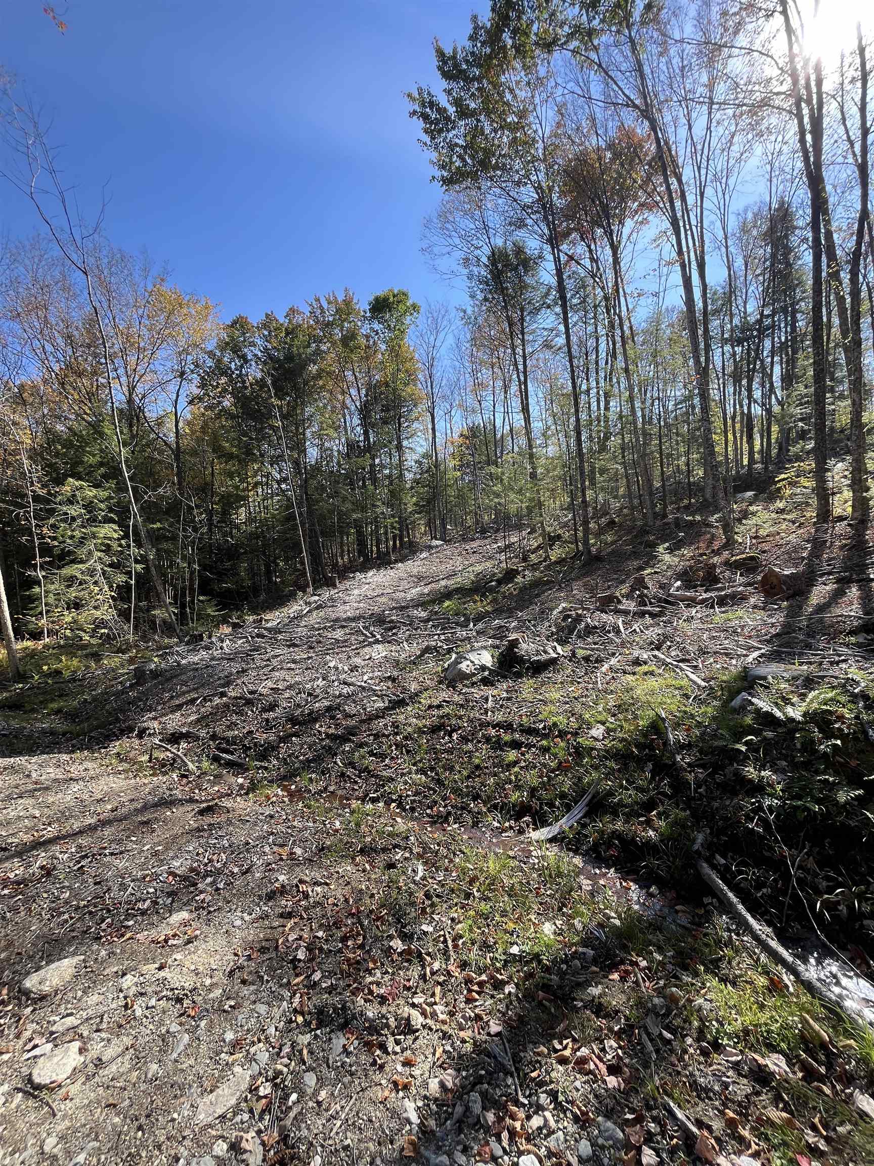 010 Underwood Road South Acworth, NH 03607 - Photo 3 of 10 Gallery Image 3
