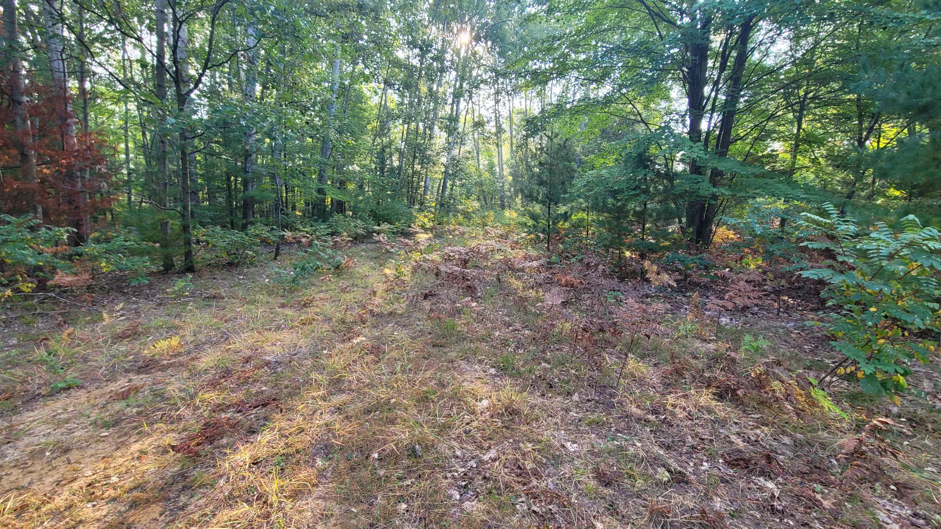 West Sun Oil Road Gladwin, MI 48624 - Photo 6 of 11 Gallery Image 6