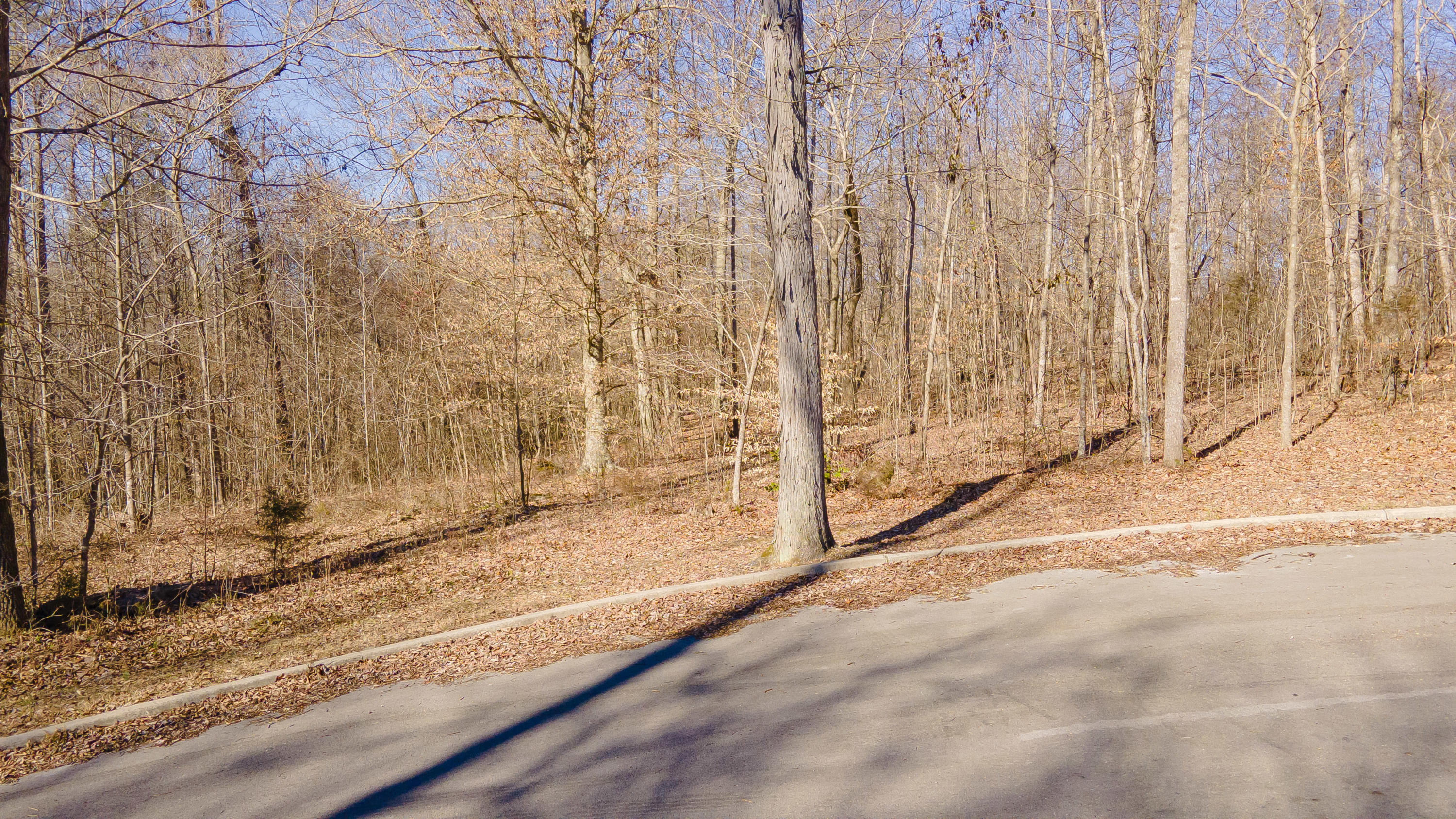 101 Treasure Holw Road Nancy, KY 42544 - Photo 3 of 23 Shepola Shores Lots-0869