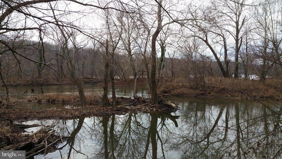 4 Russell Road Cabin John, MD 20818 - Photo 40 of 56 a picture of trees