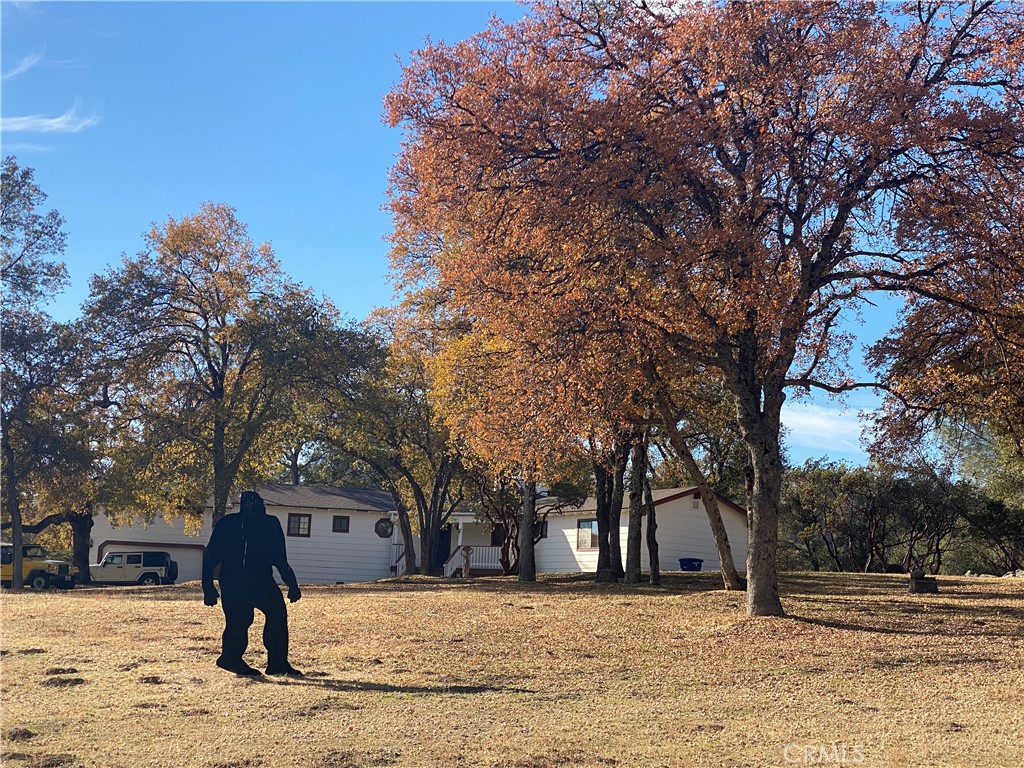 32786-32762 Road 221 North Fork, CA 93643 - Photo 3 of 73