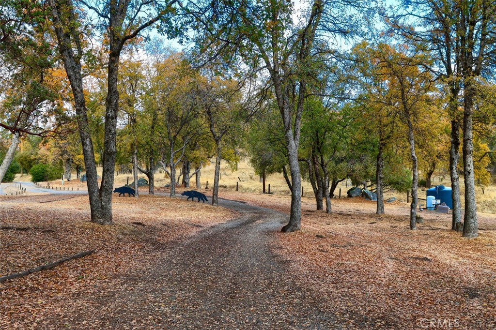 32786-32762 Road 221 North Fork, CA 93643 - Photo 38 of 73 a view of a tree in the middle of a yard