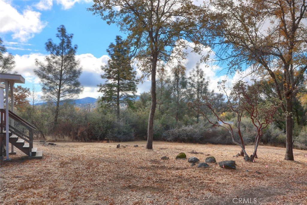 32786-32762 Road 221 North Fork, CA 93643 - Photo 66 of 73 a backyard of a house with large trees