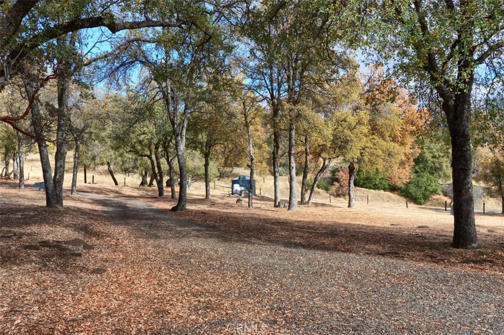 32786-32762 Road 221 North Fork, CA 93643 - Photo 69 of 73 a view of a yard with a tree