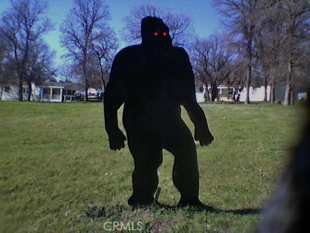 32786-32762 Road 221 North Fork, CA 93643 - Photo 73 of 73 a view of a yard in front of a house with a fountain