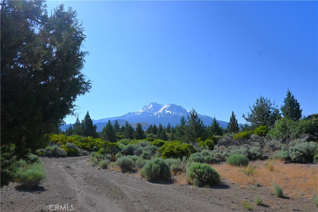 7021 Quarry Road Weed, CA 96094 - Photo 33 of 37 a view of a pathway with a park
