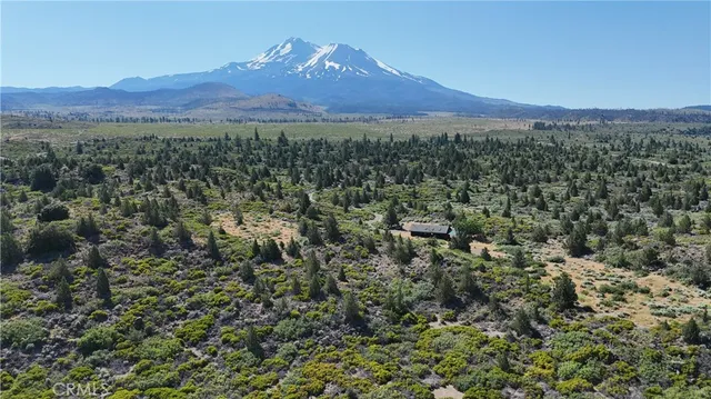 a view of a backyard with a garden and mountain view