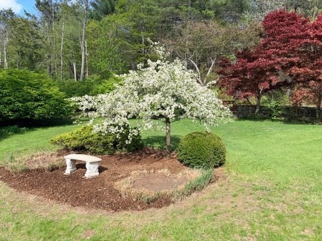 61 Arnold Road Amherst, MA 01002 - Photo 29 of 40