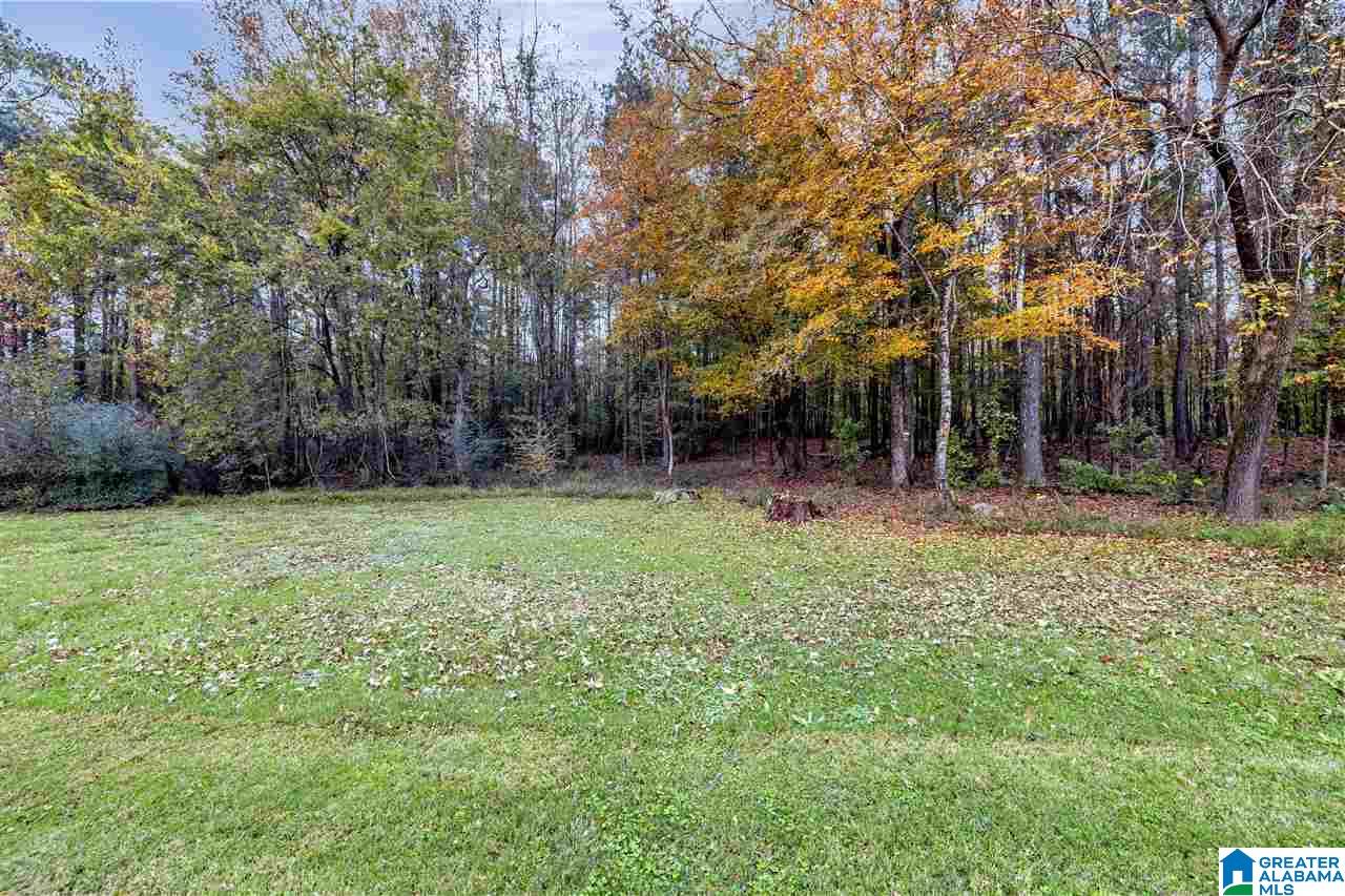 1021 Millstone Road Leeds, AL 35094 - Photo 6 of 48