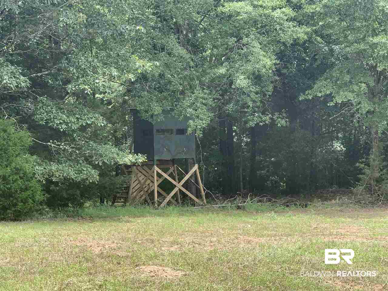 1178 Dry Lake Road Luverne, AL 36049 - Photo 10 of 50