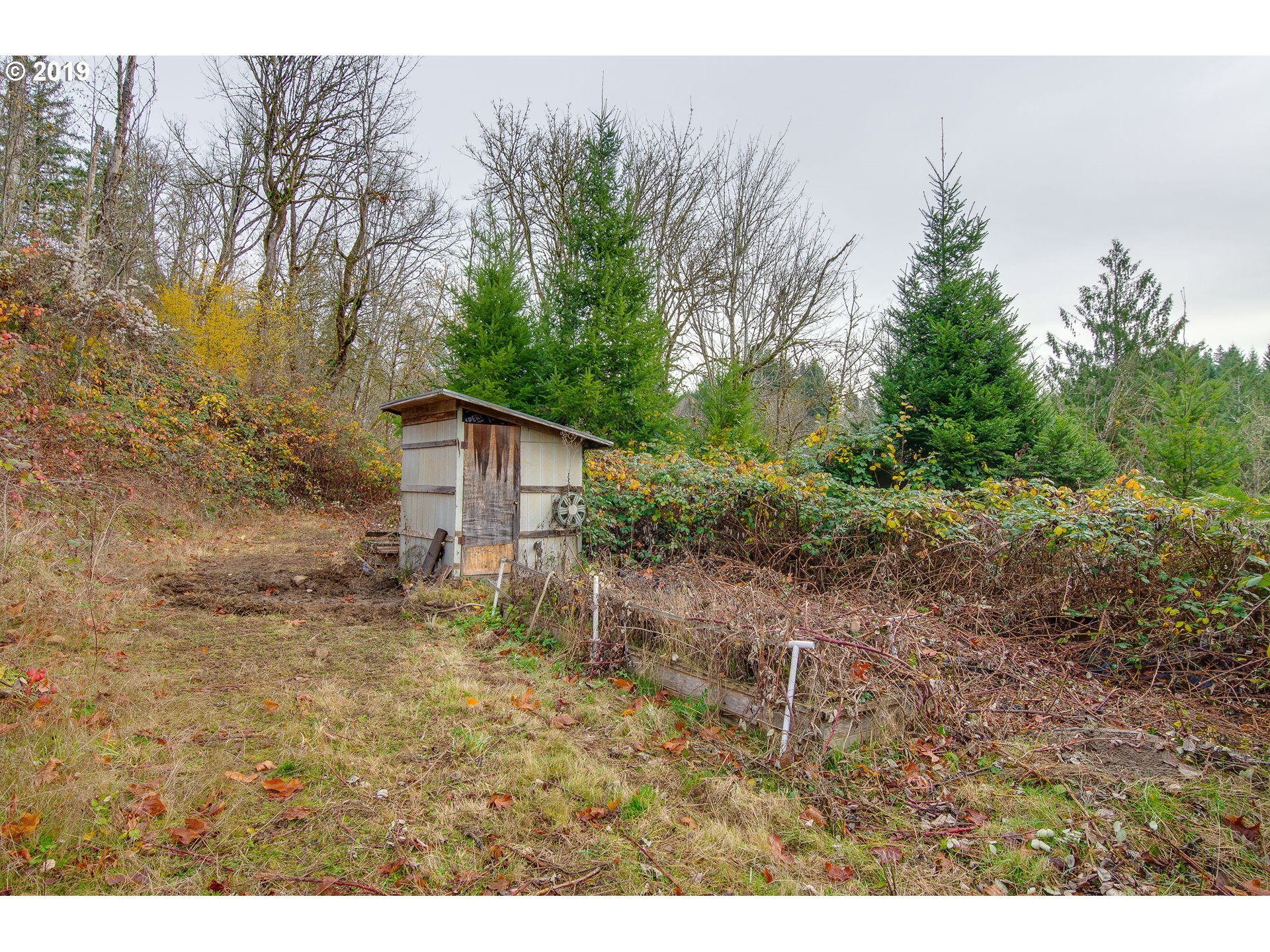 633 Englert Road Woodland, WA 98674 - Photo 22 of 24 Gallery Image 22