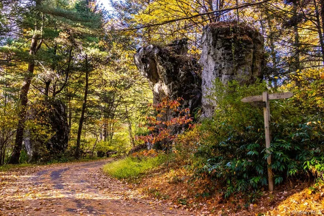 $39,000,000 | 104 North Garden Drive, Pawling, NY 12564