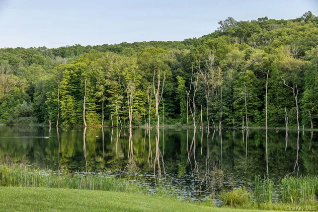 $39,000,000 | 104 North Garden Drive, Pawling, NY 12564