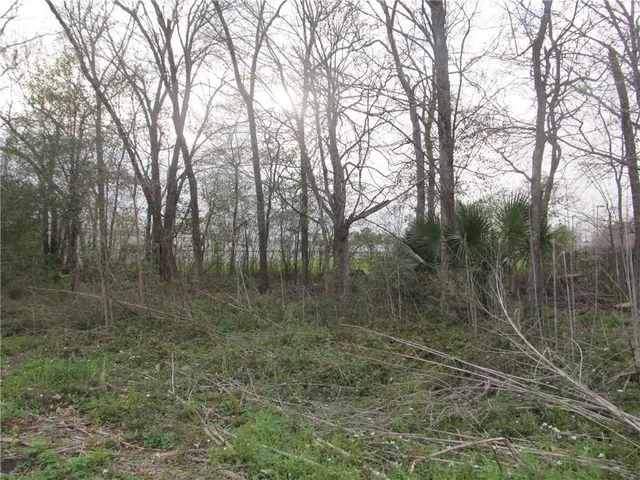 $875,000 | 525 Whitney Avenue, Gretna, LA 70056