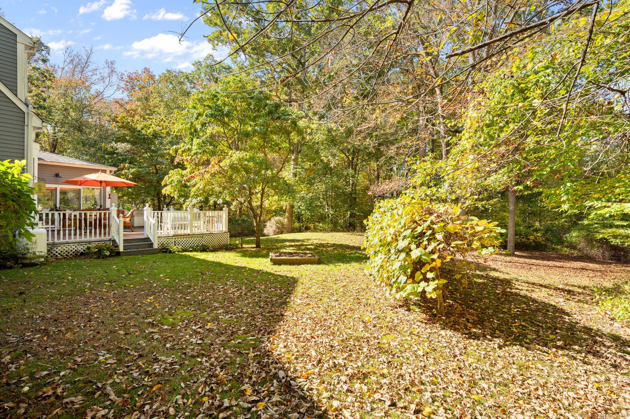 383 Lathrop Road Plainfield, CT 06374 - Photo 34 of 40 a view of a yard with plants and trees