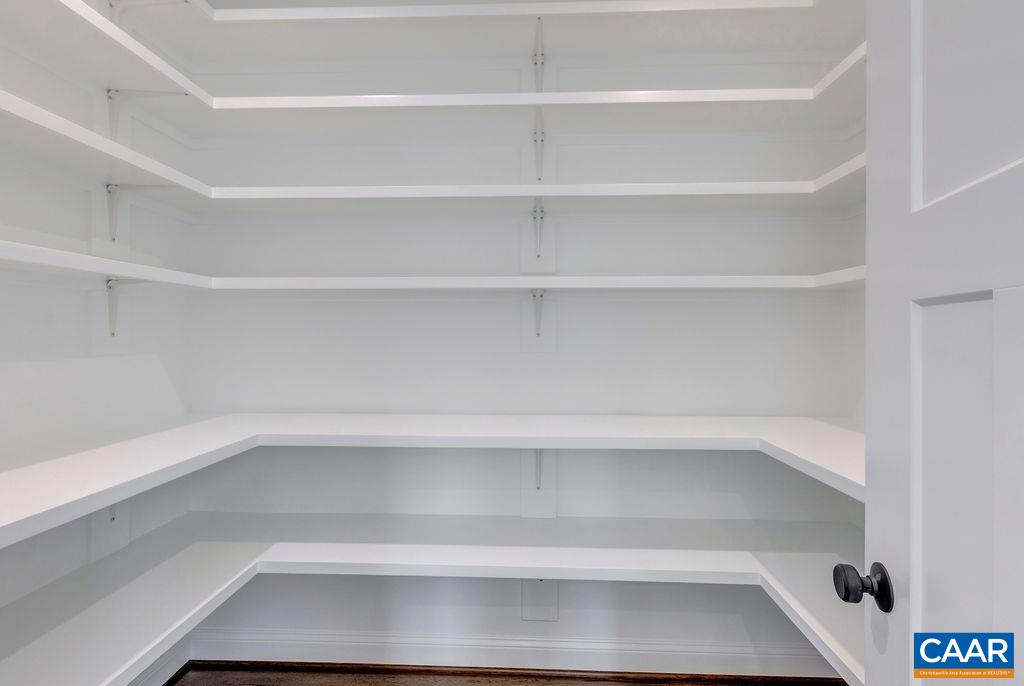 3 Rothwell Lane, Unit LOT 3 Crozet, VA 22932 - Photo 15 of 33 a view of walk in closet with empty racks