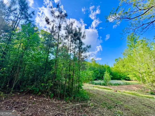 $130,000 | 1300 Robinson Street, Roopville, GA 30170