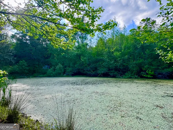 $130,000 | 1300 Robinson Street, Roopville, GA 30170