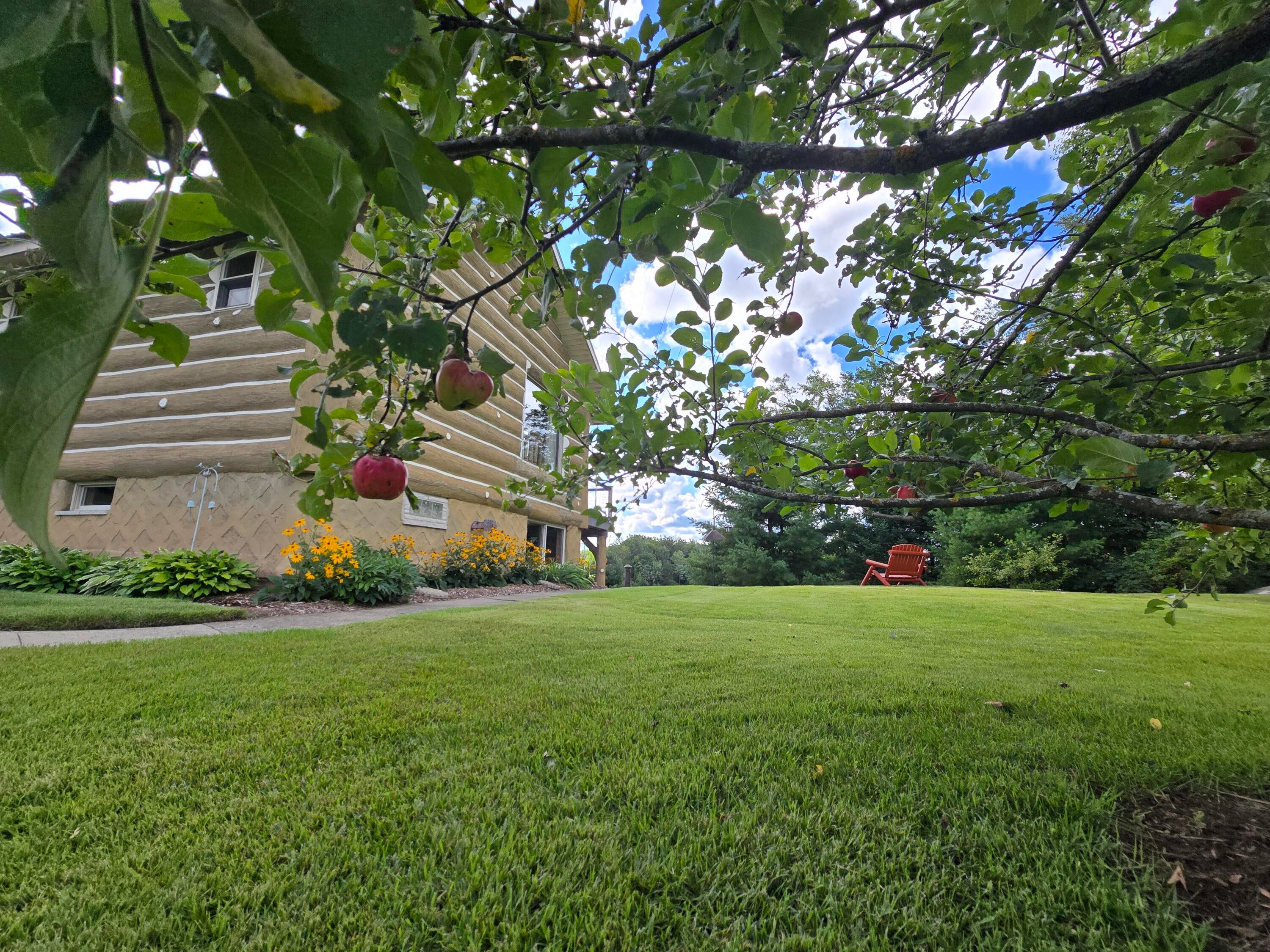 433 Thompson Road Mio, MI 48647 - Photo 81 of 110 20250826_105855