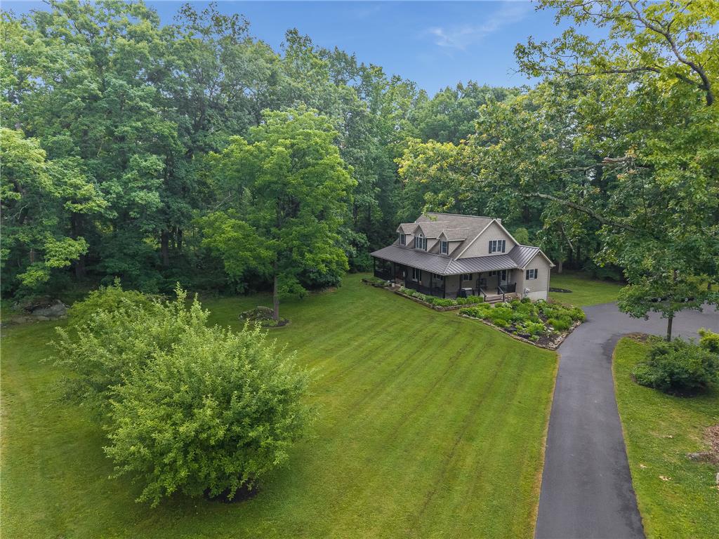 465 Raubsville Road Easton, PA 18042 - Photo 4 of 60 A private driveway leads to a secluded residence nestled amongst a lush, mature tree canopy.