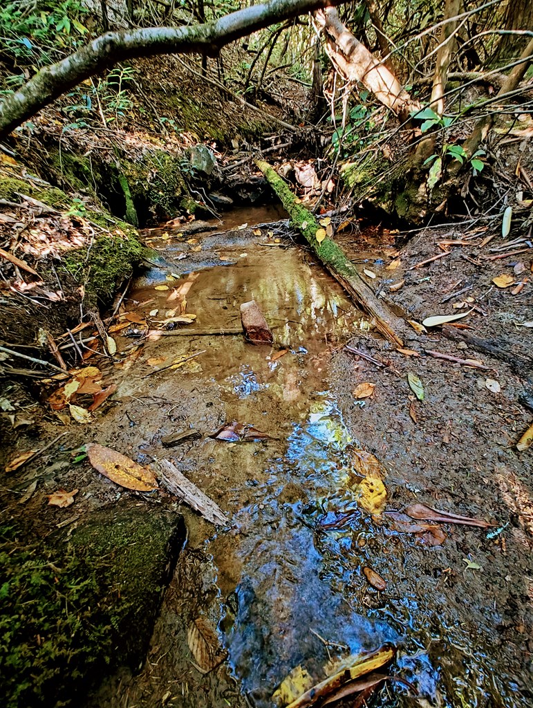 13 Reserve Estate Murphy, NC 28906 - Photo 12 of 30 a view of outdoor space