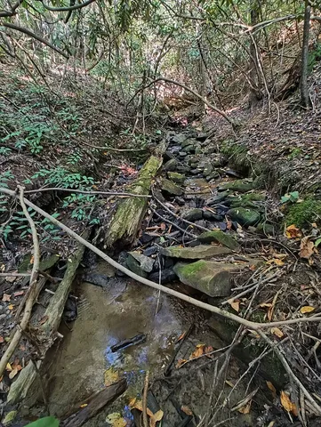 a view of a backyard of the house