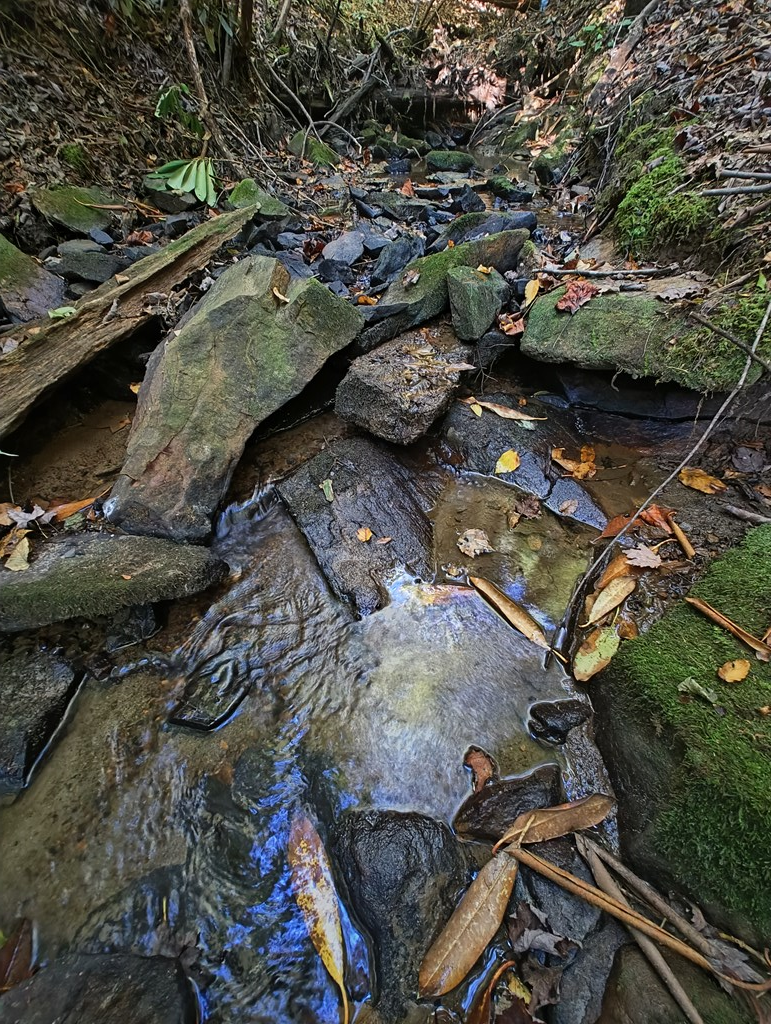 13 Reserve Estate Murphy, NC 28906 - Photo 15 of 30 a view of a backyard of the house