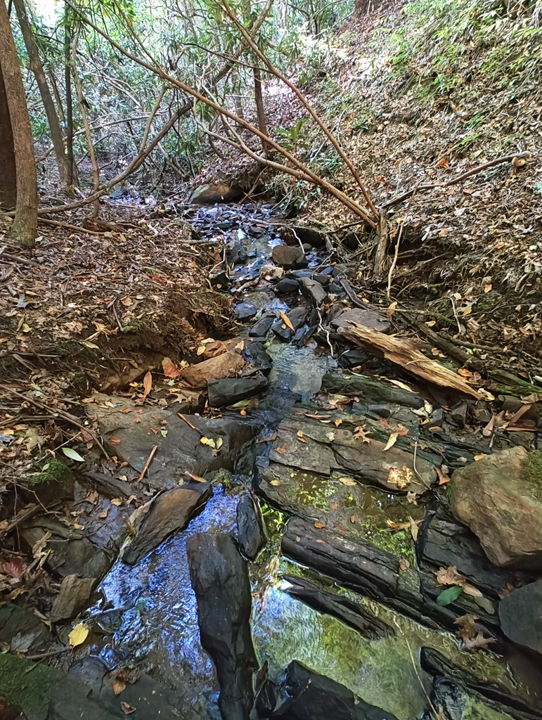 13 Reserve Estate Murphy, NC 28906 - Photo 18 of 30 a city view with tall trees