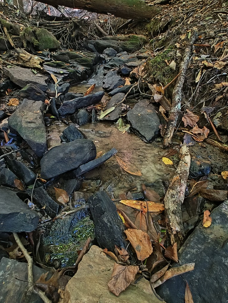 13 Reserve Estate Murphy, NC 28906 - Photo 19 of 30 a view of outdoor space