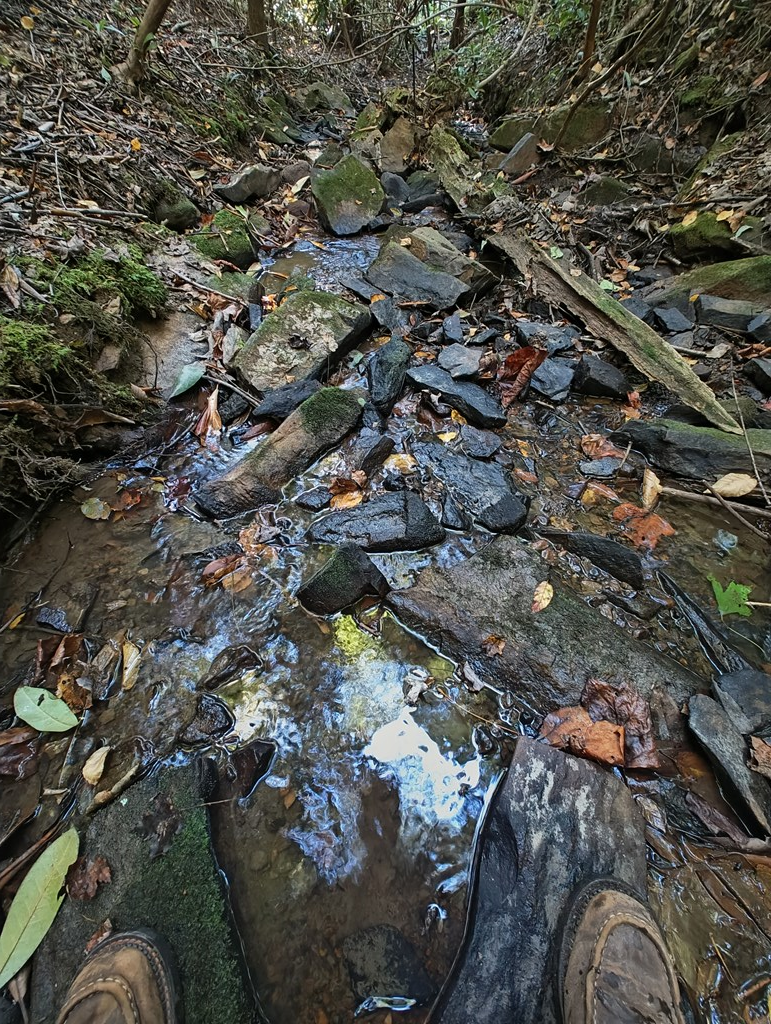 13 Reserve Estate Murphy, NC 28906 - Photo 21 of 30 an aerial view of a house with a yard
