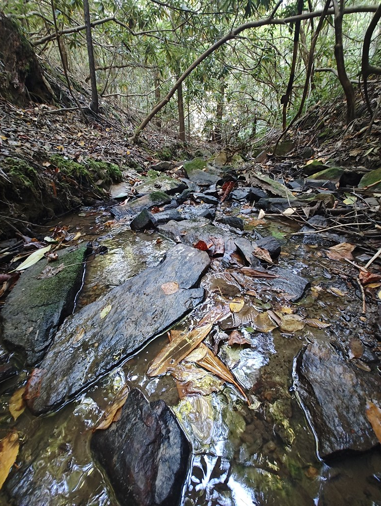 13 Reserve Estate Murphy, NC 28906 - Photo 22 of 30 a view of outdoor space